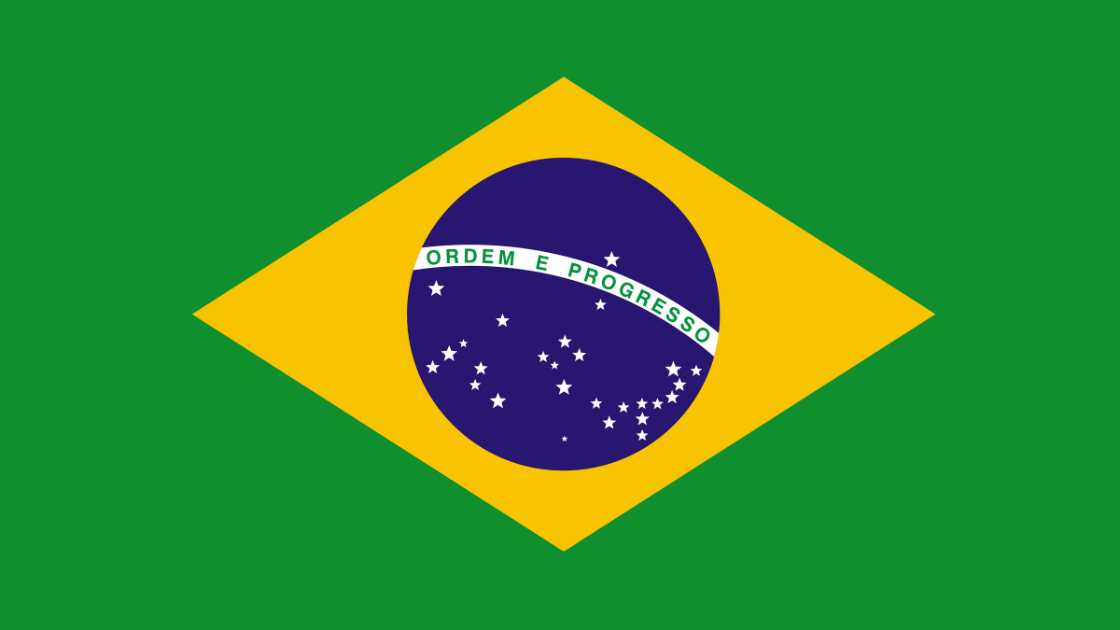 Brazil Flag