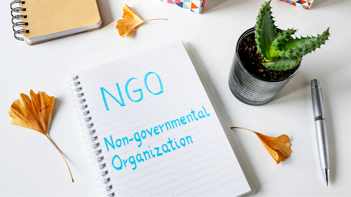 Cause-Specific NGO in India