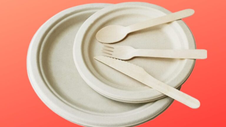 Sugarcane Bagasse Tableware & Cutlery