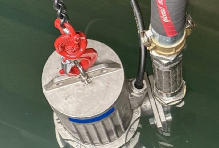 Amarinth to replace obsolete submersible pumps at EDF’s sizewell b nuclear power station